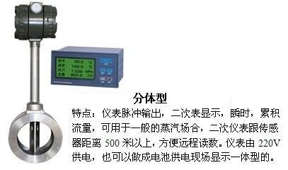 夾持式渦街流量計分體型產(chǎn)品圖